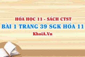 Bài 1 trang 39 SGK Hóa 11 Chân trời sáng tạo